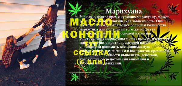 метадон Горняк