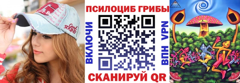 Псилоцибиновые грибы Cubensis  Купить  Кыштым 